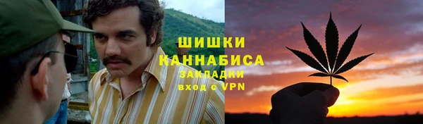 прущая мука Алзамай