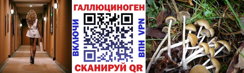 Псилоцибиновые грибы ЛСД  где купить наркотик  Новоалтайск 