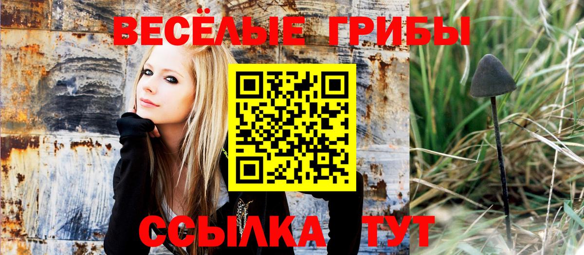 Новоалтайск  Галлюциногенные грибы Cubensis  Вход с VPN 